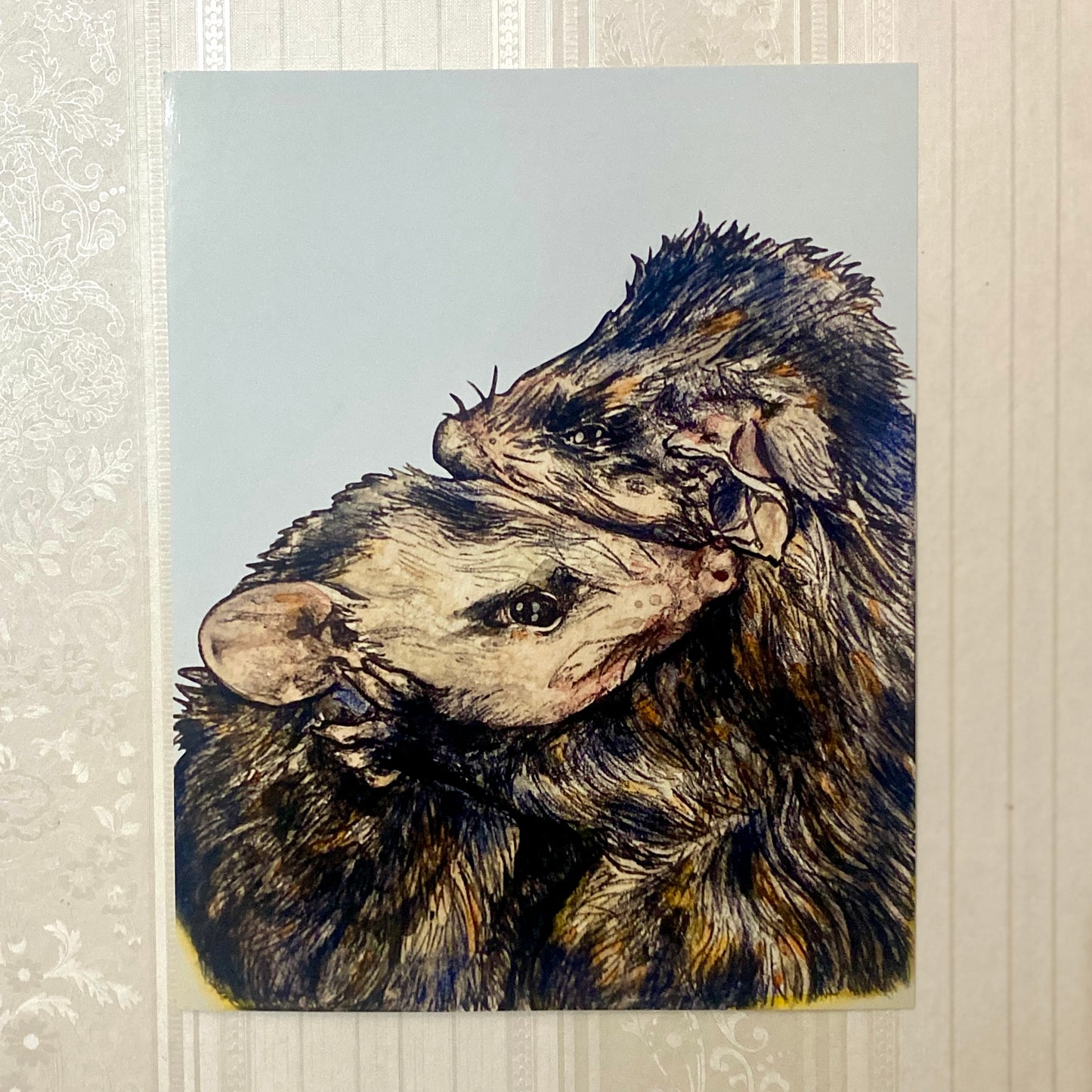 Illustration of two opposums on a textured wall background