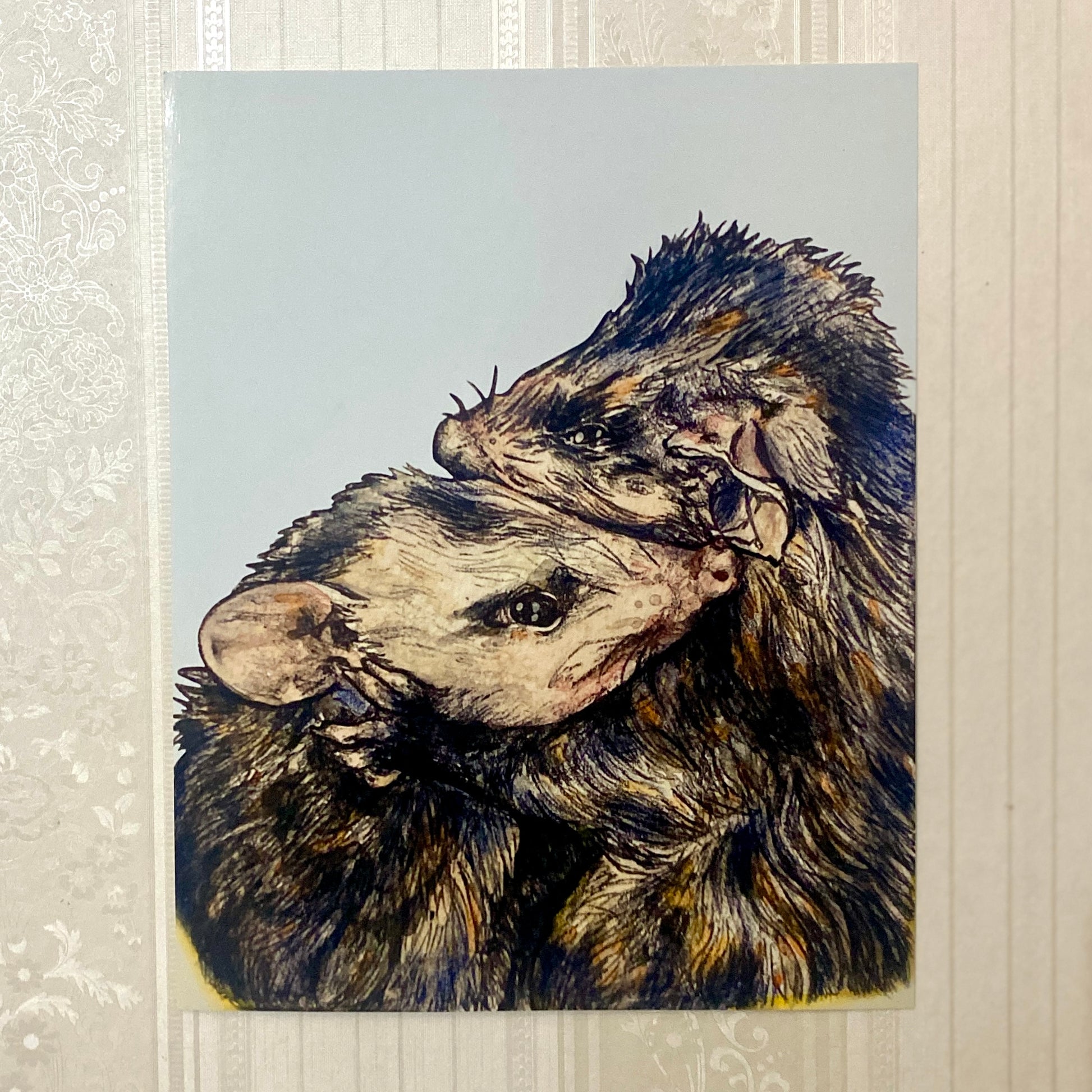 Illustration of two opposums on a textured wall background